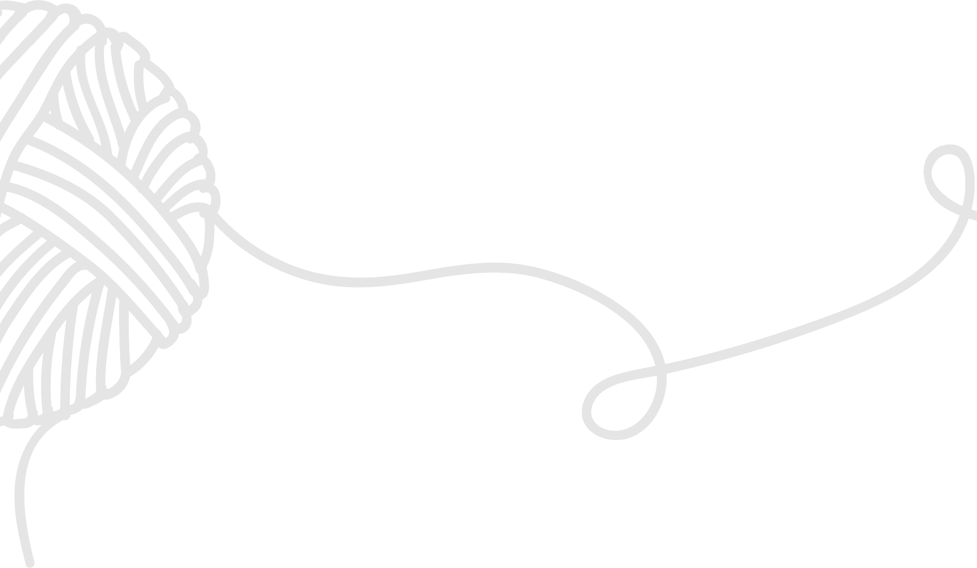 Yarn Registered Sphynx Cat Breeders QLD  ANCATS registered cattery Born Bold