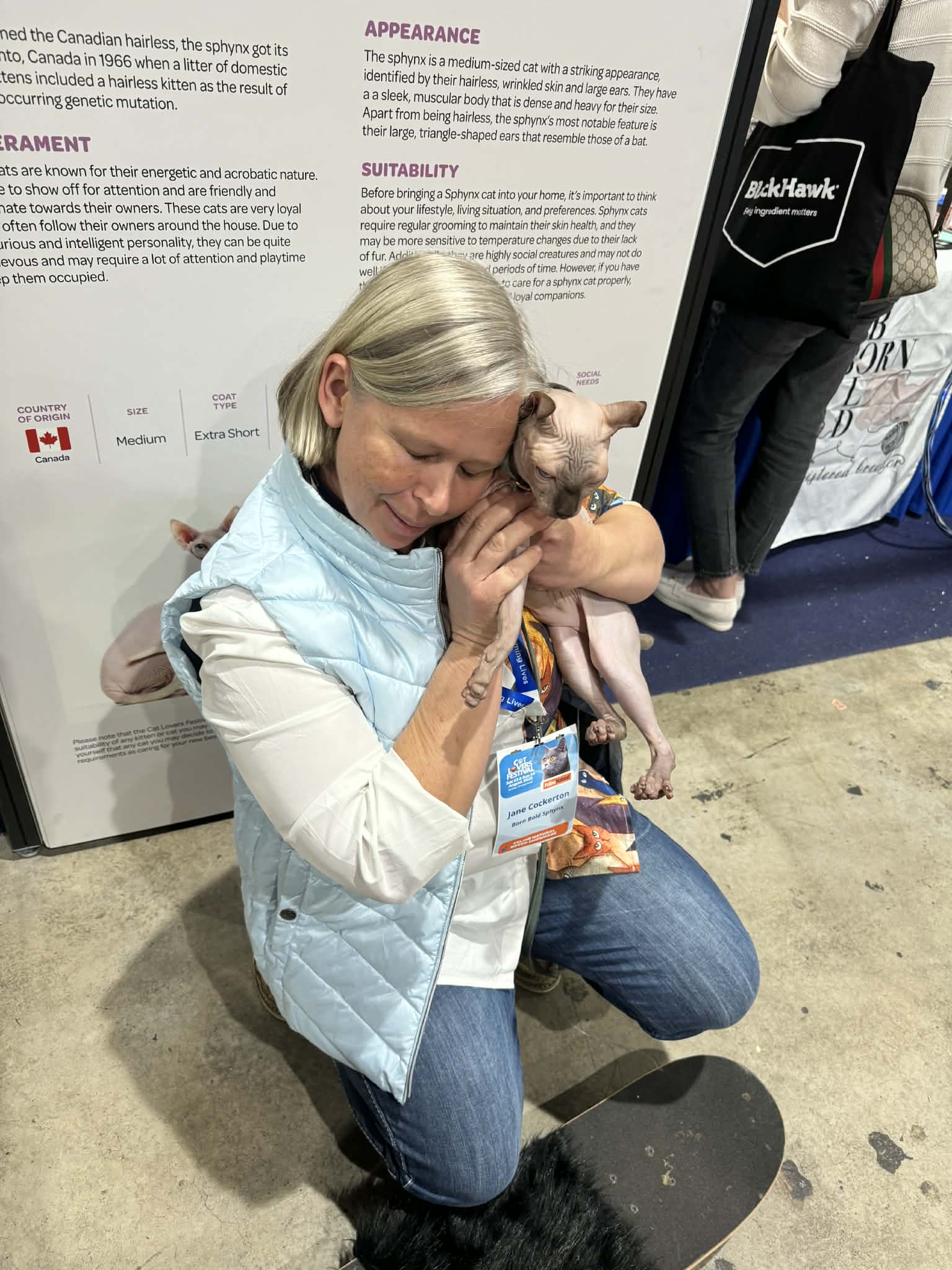 Award-winning Sphynx cats at the Sydney Cat Lovers Expo.