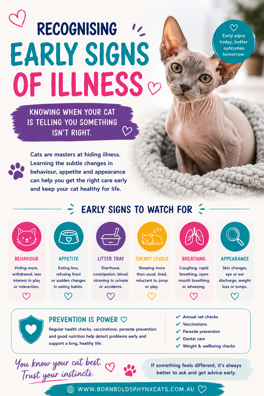 Recognising signs of early illness so you can get the best vet outcome