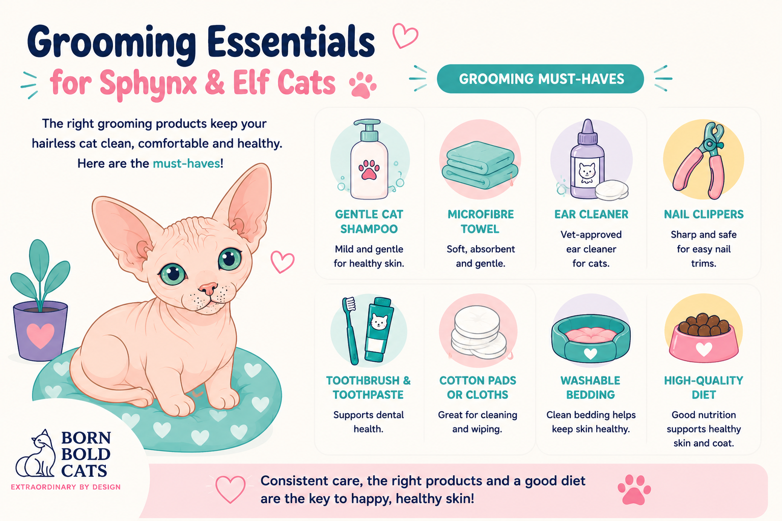 Recommended products for grooming at Born Bold Cats