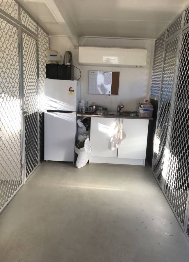 our wonderful facilities for our Sphynx breeding cats